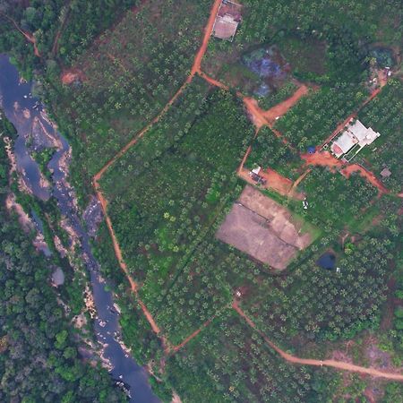 Beautiful Farm House & Villa - Monappa Estate - Top Rated Udupi Bagian luar foto