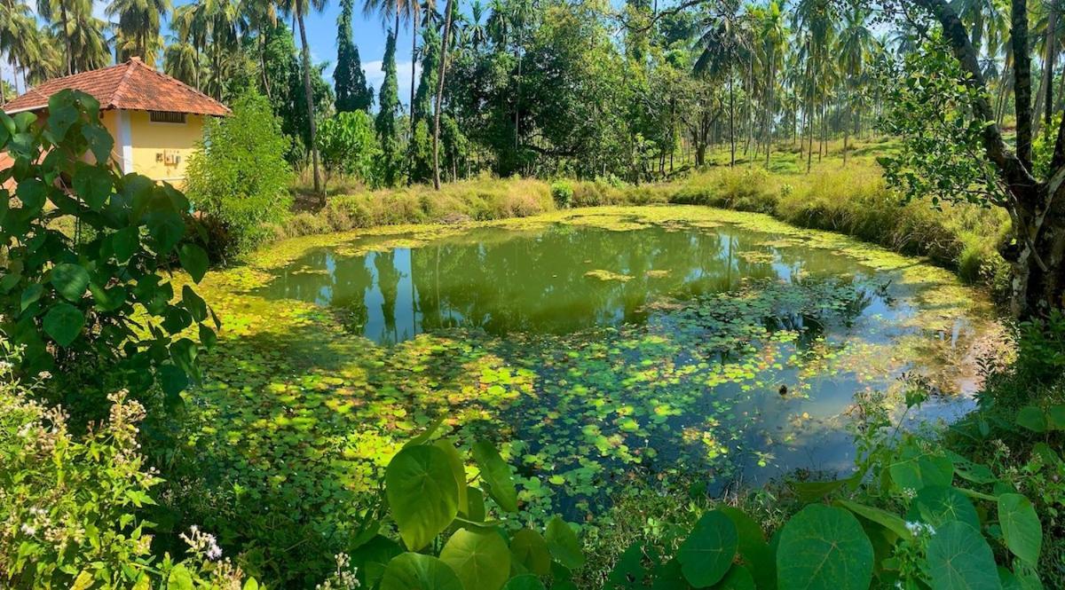 Beautiful Farm House & Villa - Monappa Estate - Top Rated Udupi Bagian luar foto