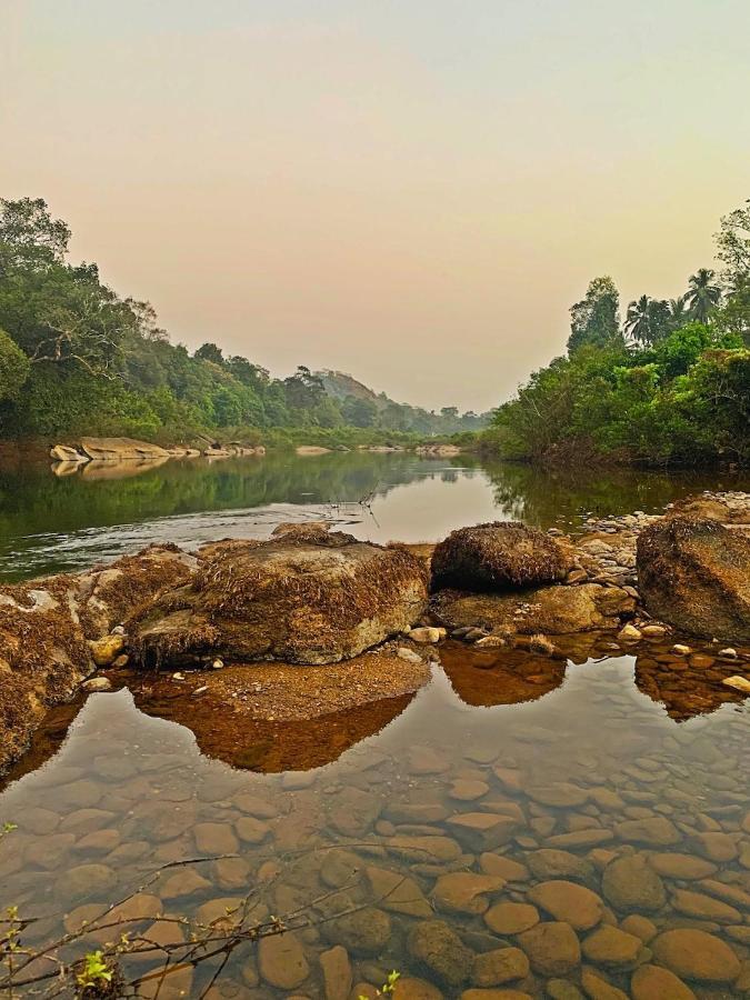 Beautiful Farm House & Villa - Monappa Estate - Top Rated Udupi Bagian luar foto