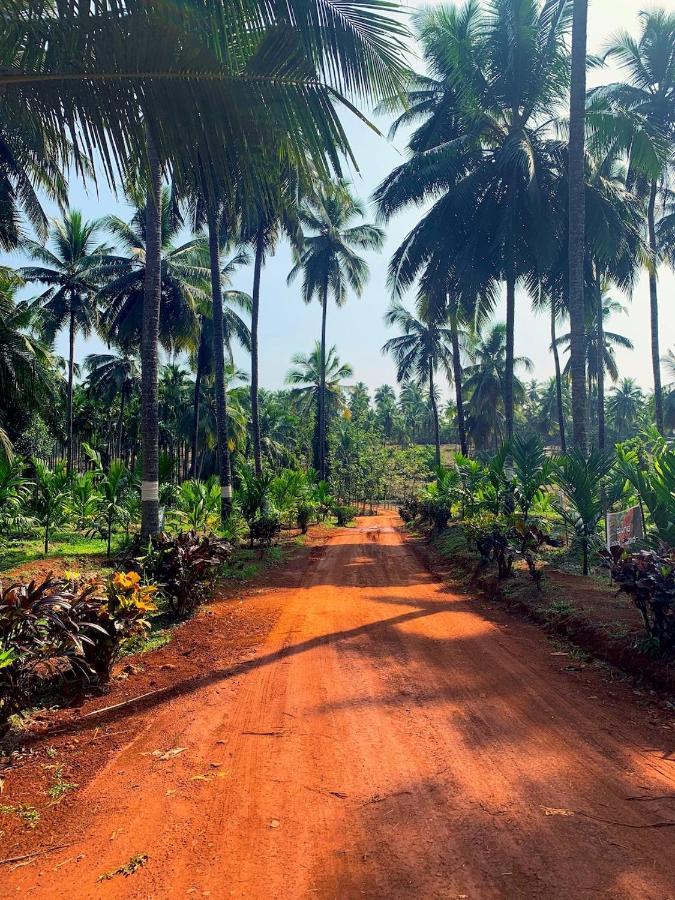 Beautiful Farm House & Villa - Monappa Estate - Top Rated Udupi Bagian luar foto